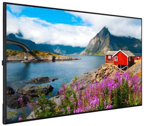 VESTEL Display 75