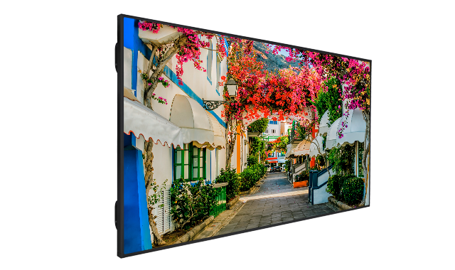 VESTEL Display 86