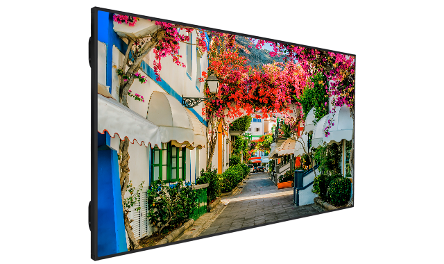 VESTEL Display 98